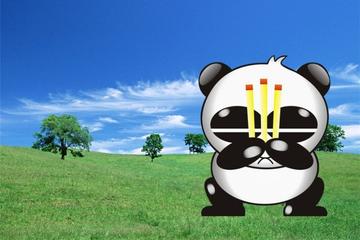 熊猫烧香表情包 一路好走