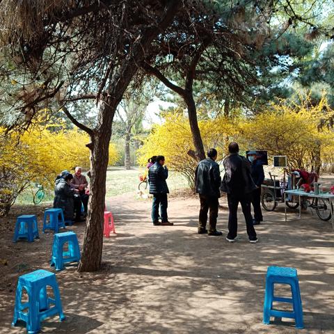 沈阳市万泉公园哪个区的