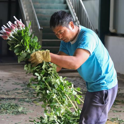 昆明市国企干部年薪多少