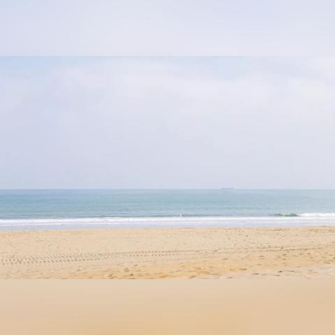 厦门市人口总数？