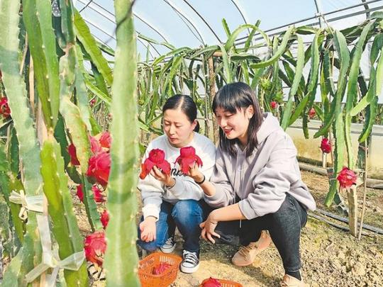 华州区以党建领航整合利用农村“三资”推动乡村振兴