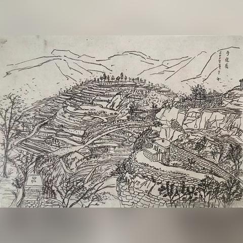 沈阳市太阳鸟画室怎么样