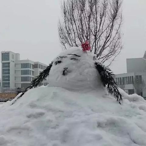 西宁天气怎么样