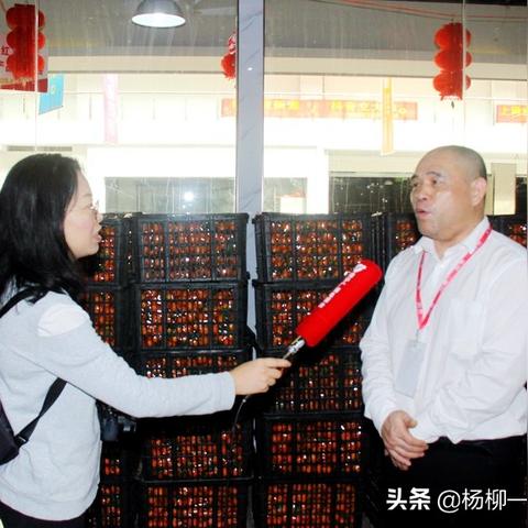 百色到南宁机票的相关长尾关键词有哪些