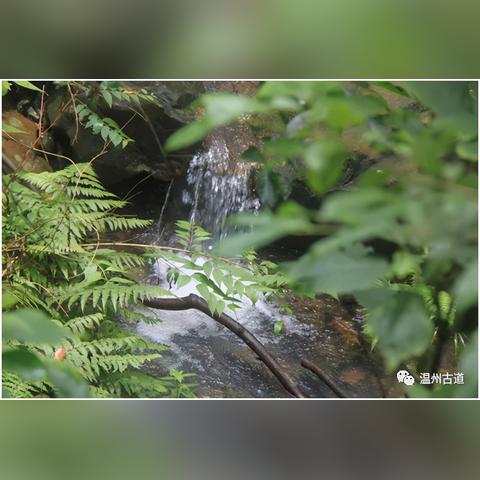 温州市歌剧院的长尾关键词有什么