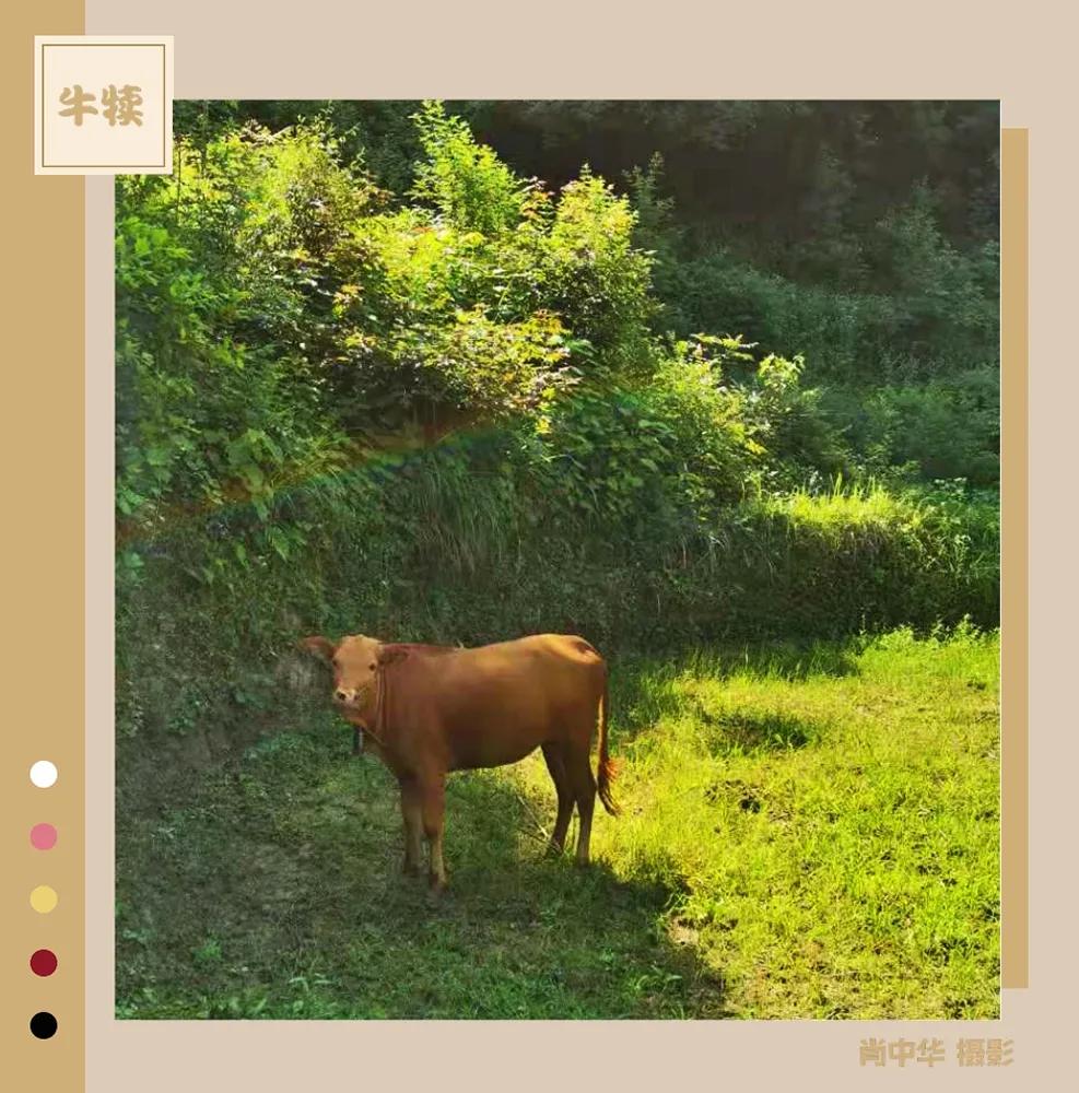 宝宝小被子名字怎么起名(老一辈留下来的规矩有哪些)