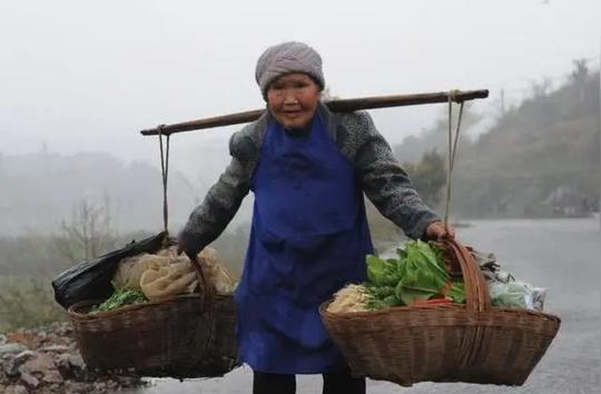 农村怪事：种粮不赚钱，荒着会收回！土地流转却不愿意，为什么？