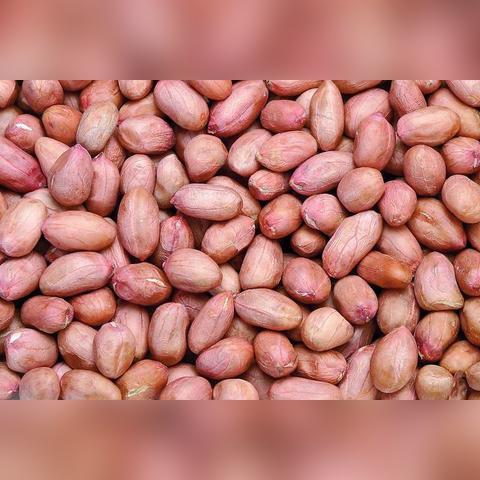 河南正阳花生价格的相关长尾关键词有哪些