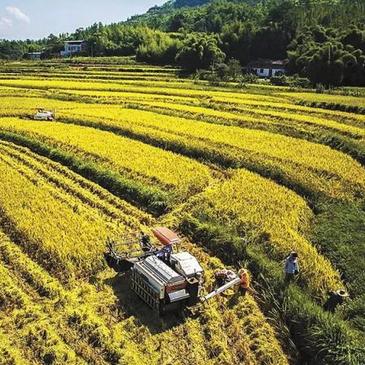 保定市清华美院在哪里