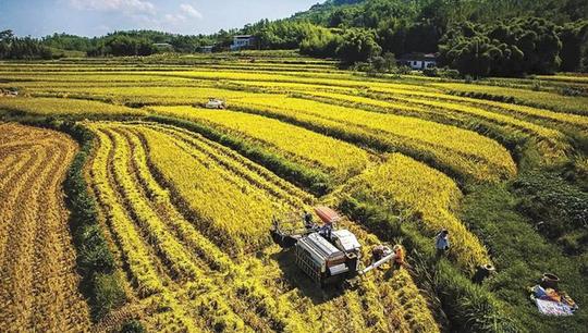 清华女博士，进入大山当农民，曾经被人看不起，一年净赚800万