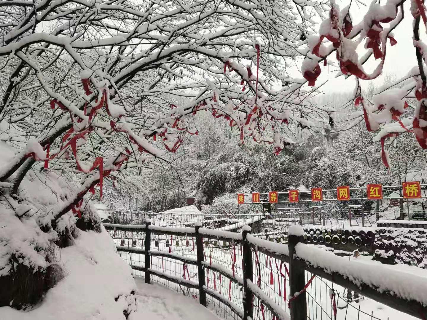 一個(gè)嘉年華_100個(gè)嘉年華等于多少元 運(yùn)營百科