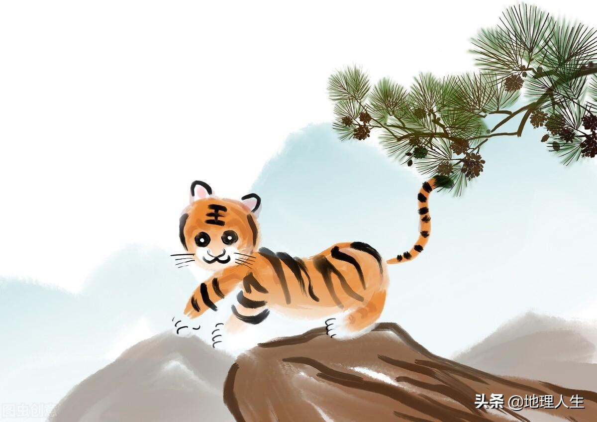 寅时出生虎宝宝起名怎么起(5点48出生寅时还是卯时)