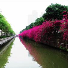 佛山市三生公司在哪里啊