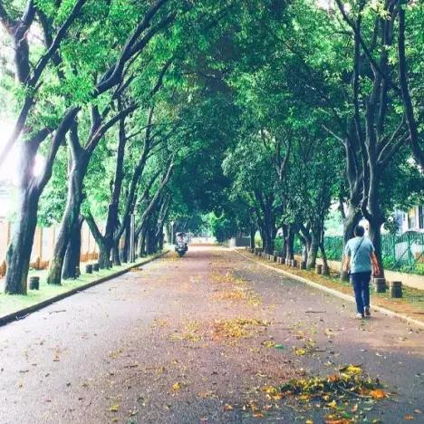 桂林市喜来登饭店怎么样