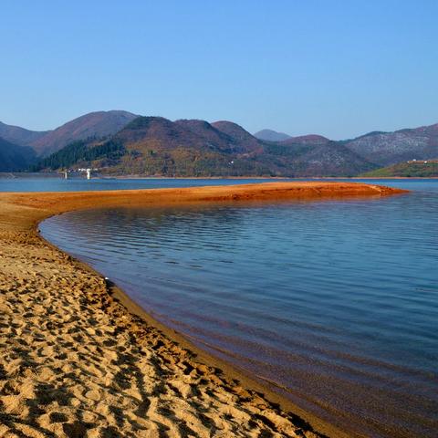 武汉市小学有什么重要奖项