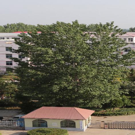 沈阳铁西区中专相关长尾关键词有哪些