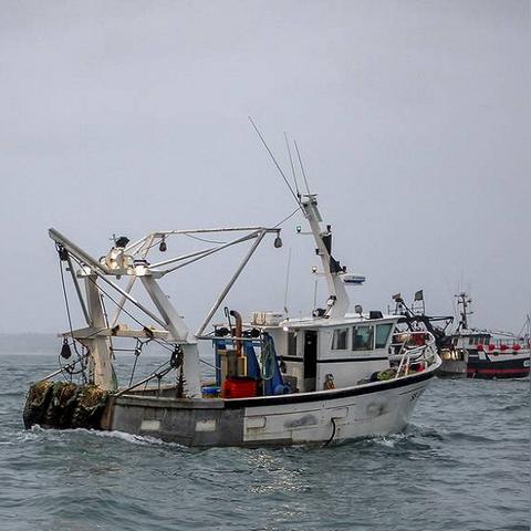 佛山市南海纹眉毛哪里好