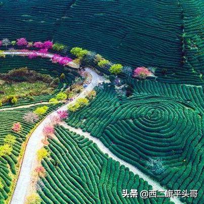 武汉市什么地方有粉黛看