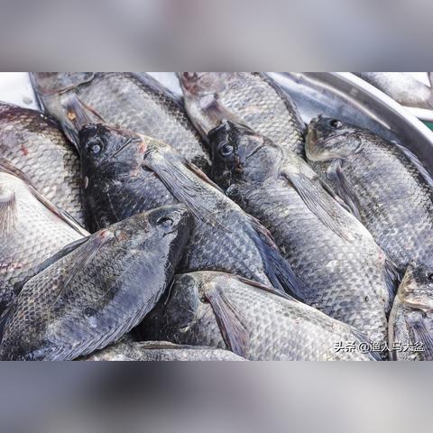 成都市回锅鱼塘在哪里