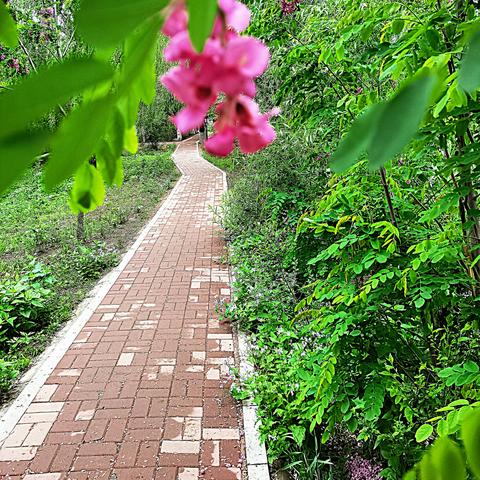 沈阳师范学科历史相关长尾关键词有哪些