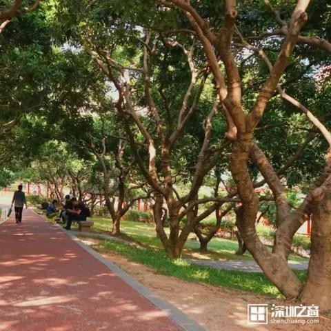 苏州市与深圳市哪个好考