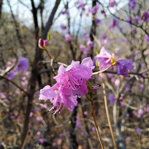 【天津地质书店】长尾关键词有什么