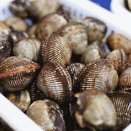 深圳市海洋局管什么部门