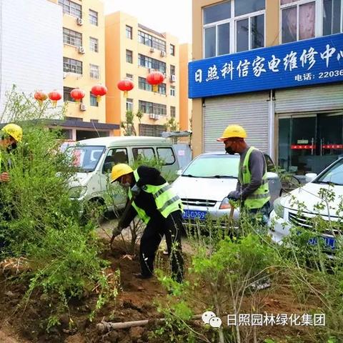 临沂市哪里治斑秃好的长尾关键词有哪些