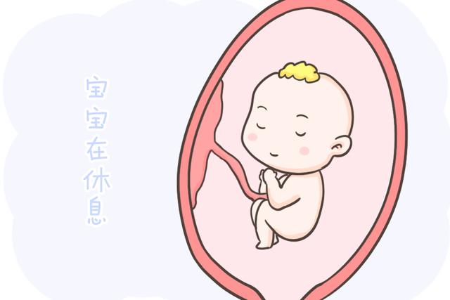 不是说孕晚期的胎动会减少？怎么胎儿还这么活跃