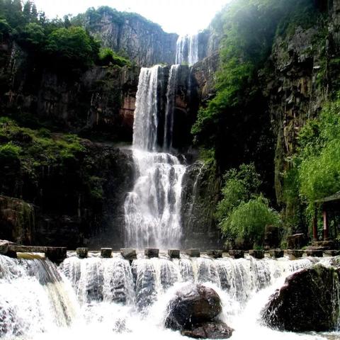 温州市东方游泳池在哪里