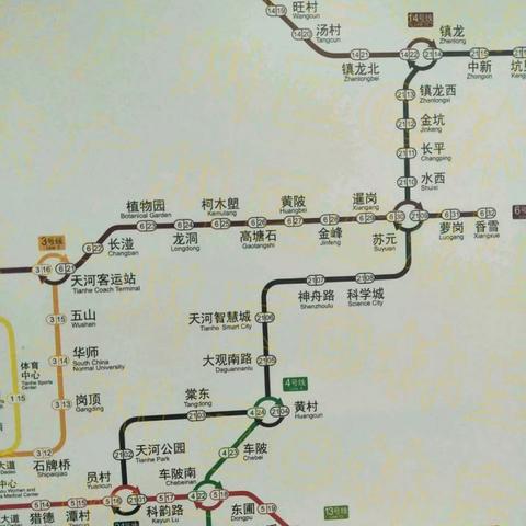 广州市八有多少间