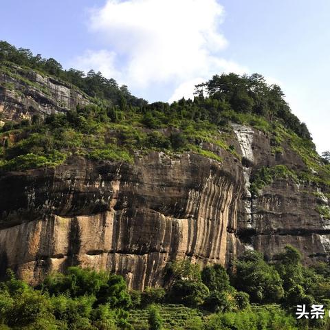 2016福建高考530的相关长尾关键词有哪些