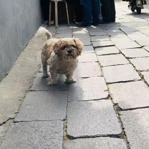 济南市的小巷子叫什么