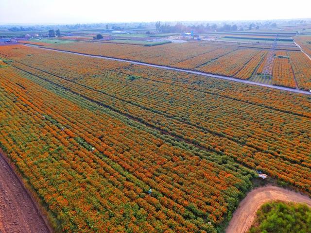 生育能力和性生活次数有关系吗 生育能力和性生活次数有关系吗