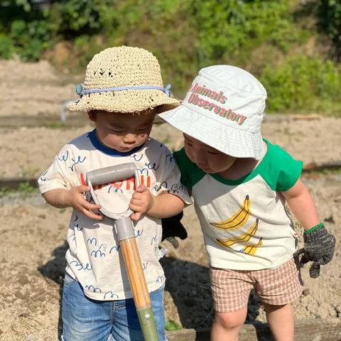 泡泡深林沈阳相关长尾关键词有哪些