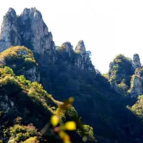 保定市哪里可以捡奇石