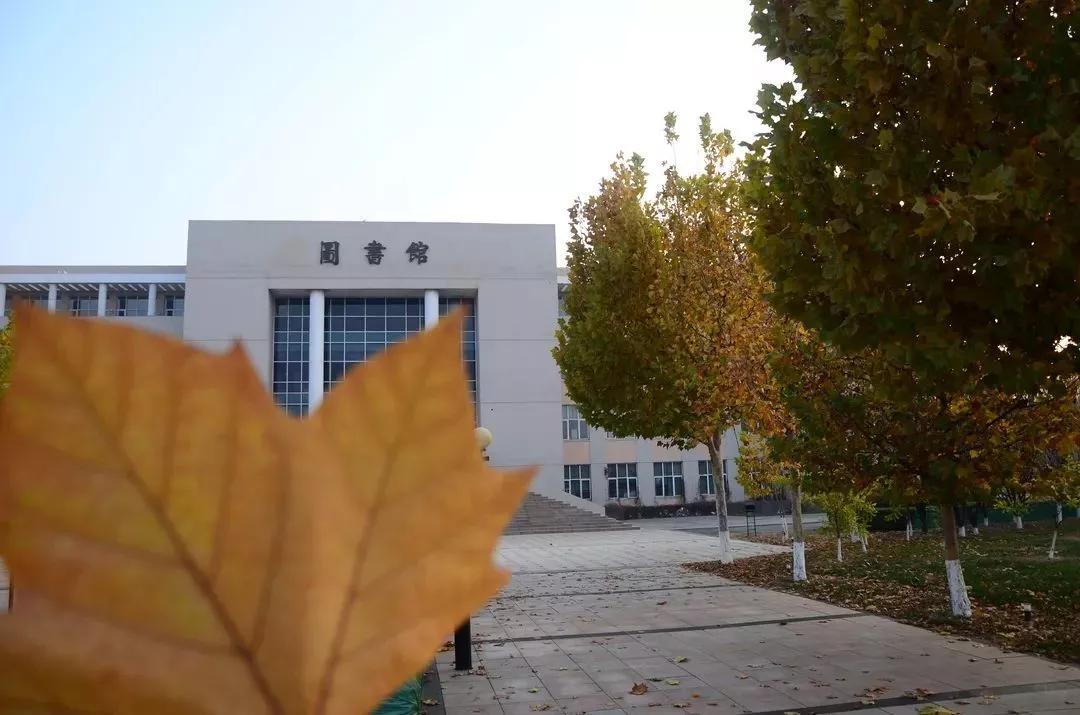 天津财经大学珠江学院地址(天津财经大学珠江学院和天津科技大学中外合办哪个好)