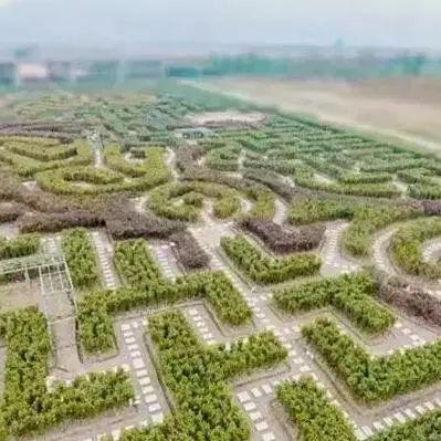 宁波游玩赏花攻略的相关长尾关键词有哪些