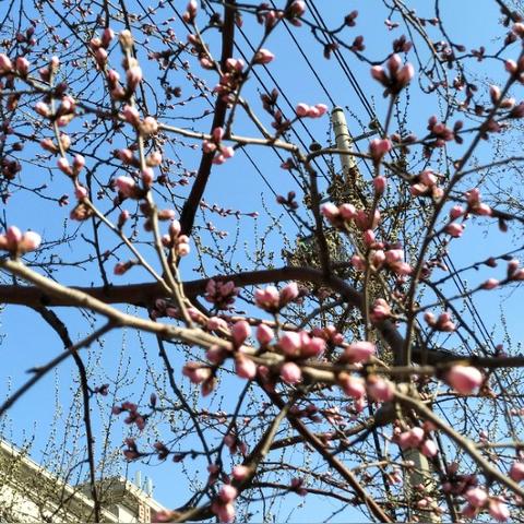 长春市好景山庄三期二手房的长尾关键词有哪些