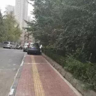 大连市公共管理怎么样