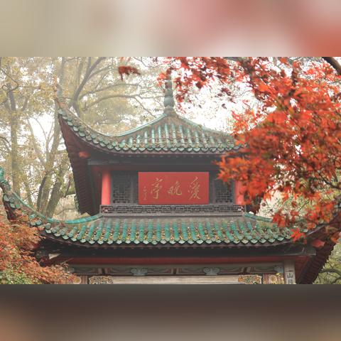 长沙市岳麓区哪个亭