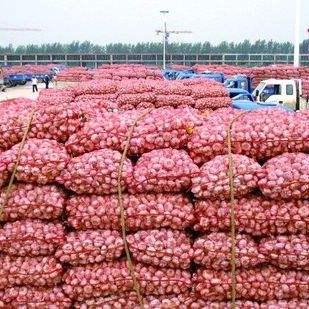 邳州在河南哪个方向