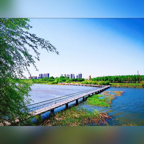 哈尔滨市外五县是哪里