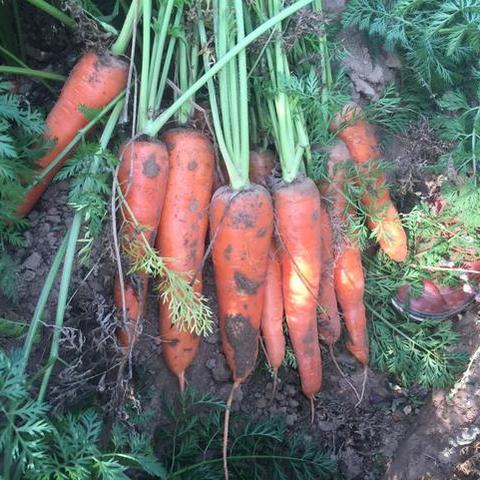 保定市易县北市的长尾关键词有什么