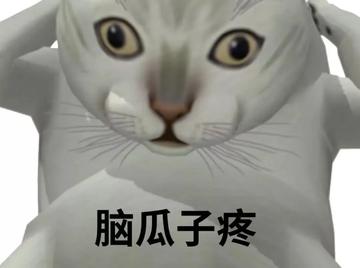  神经病猫搞笑QQ幽默表情包