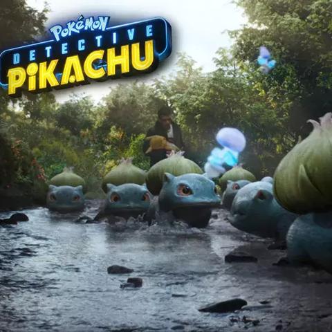 石家庄市种子精选机的长尾关键词有什么