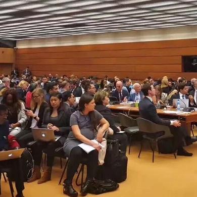 浙江品牌跨境电商多少钱