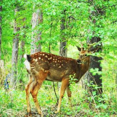 沈阳到辉南火车相关长尾关键词有哪些