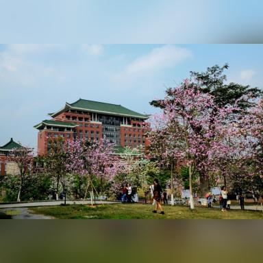 2025.12.26广州今日气温变化情况