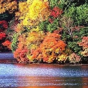 私人导游一天费用多少/私人导游一天费用200